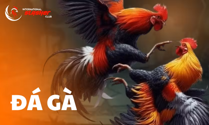 ISC Đá Gà