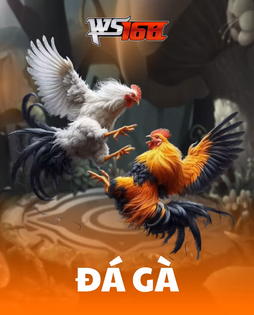 Ws168 Đá Gà